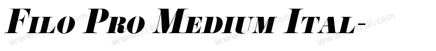 Filo Pro Medium Ital字体转换
